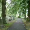 Tree lined path, Newport Cemetery, Lincoln.