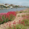 A picture of Shoreham-by-Sea