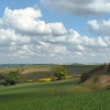 Lincolnshire Wolds, Nr Fulletby.