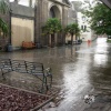 Nice English Weather..., London Zoo