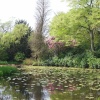 Gardens at Tatton Park, Cheshire.