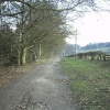 Delamere Forest, Nr Tarporley, Cheshire