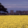A picture of Bamburgh Castle