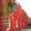 A picture of Coln St Aldwyns