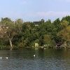 A picture of Diss