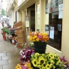Shop in Diss, Norfolk