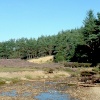 Rutmoor Beck, Wheeldale, North York Moors