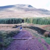 beginning the walk up pen y fan Brecon Beacons Wales