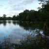 This photograph is of Whiteknights Lake, on the University of Reading campus.