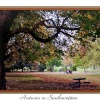 Autumn comes to Southampton