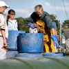 Crab catch, Weymouth, Dorset