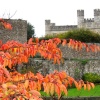 Leeds Castle in Kent