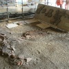 Fishbourne Roman Palace, near Chichester, West Sussex