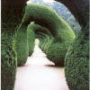 Alton Towers topiary, Staffordshire
