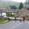 Traffic Jam at Kettlewell, Wharfedale, North Yorkshire