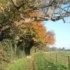 Walking through Bowood, Chippenham, Wiltshire