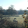 Frosty morning on the outskirts of Calmore, near Southampton, Hampshire