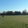 Winter sun in Calmore, near Southampton, Hampshire.