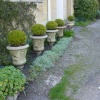 A narrow garden, Bradford-on-Avon, Wiltshire