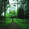 Forest of Dean, June 2005, sculpture walk