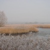 A picture of Stodmarsh
