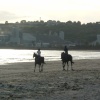 Horses galloping at Parr Sands, Nr St. Austell. Cornwall