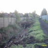 A picture of Gorton