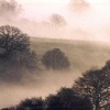 Woolhope valley on a misty November Morning in 2005