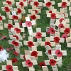 St Peters Square, Manchester. Rememberance Sunday