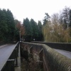 Elstead Bridge