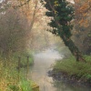 Morden hall park., Morden , Surrey - Dec 2005