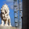 Lion of Trafalgar square with Millenium Wheel in background, London