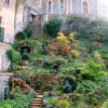 FLowers in bloom, Windsor Castle