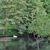 Harewood House in West Yorkshire - Lake, June 2005