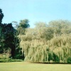 Verulamium Park in St Albans, Hertfordshire
