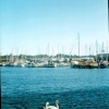 Neptun Quay and Marina in Ipswich, Suffolk