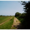 Coastal path, Studland, Dorset.