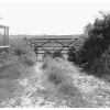 Gate to a field by the coastal path, Studland, Dorset.