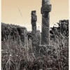 The graveyard at Lelant, Cornwall.