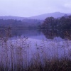 Rydal water, Lake District