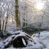 Bradshaw Brook, Bromley Cross, Bolton