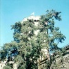Warwick Castle