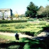 Warwick Castle - Peacock Garden