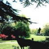 Warwick Castle - Peacock Garden