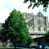 Winchester Cathedral in Winchester