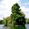 River Thames by Windsor