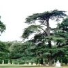 London - Chiswick House, Sept 2002