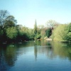 London - a picture of Ponds of Hampstead Heath