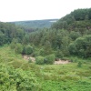 Cadshaw, Darwen, Lancashire. A wonderful place to walk the dog.