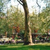 London - Mayfair, St George`s Gardens, May 2004